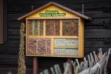 Skansen pszczelarski w Stró¿ach